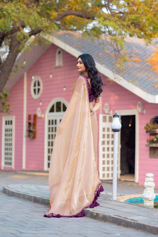 Myra – Soft Fendy Silk Two-Tone Saree