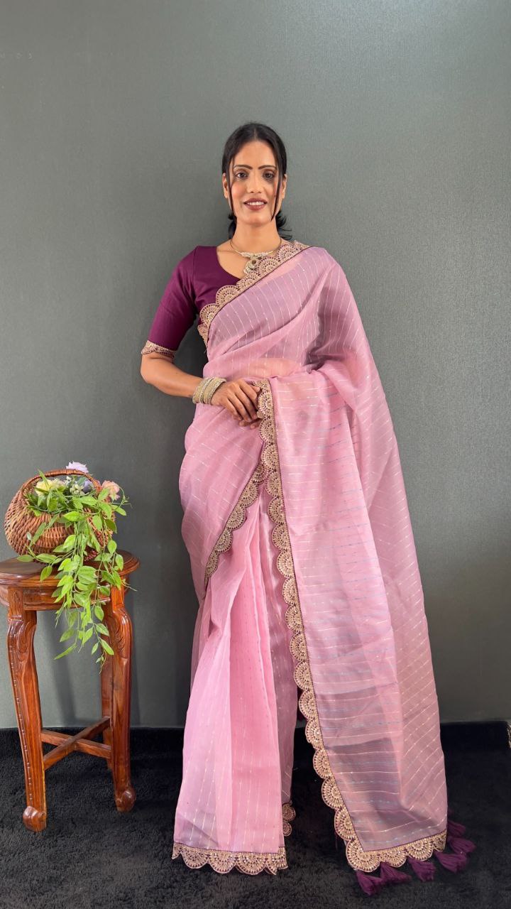 Sanya – Tissue Net Embroidered Saree