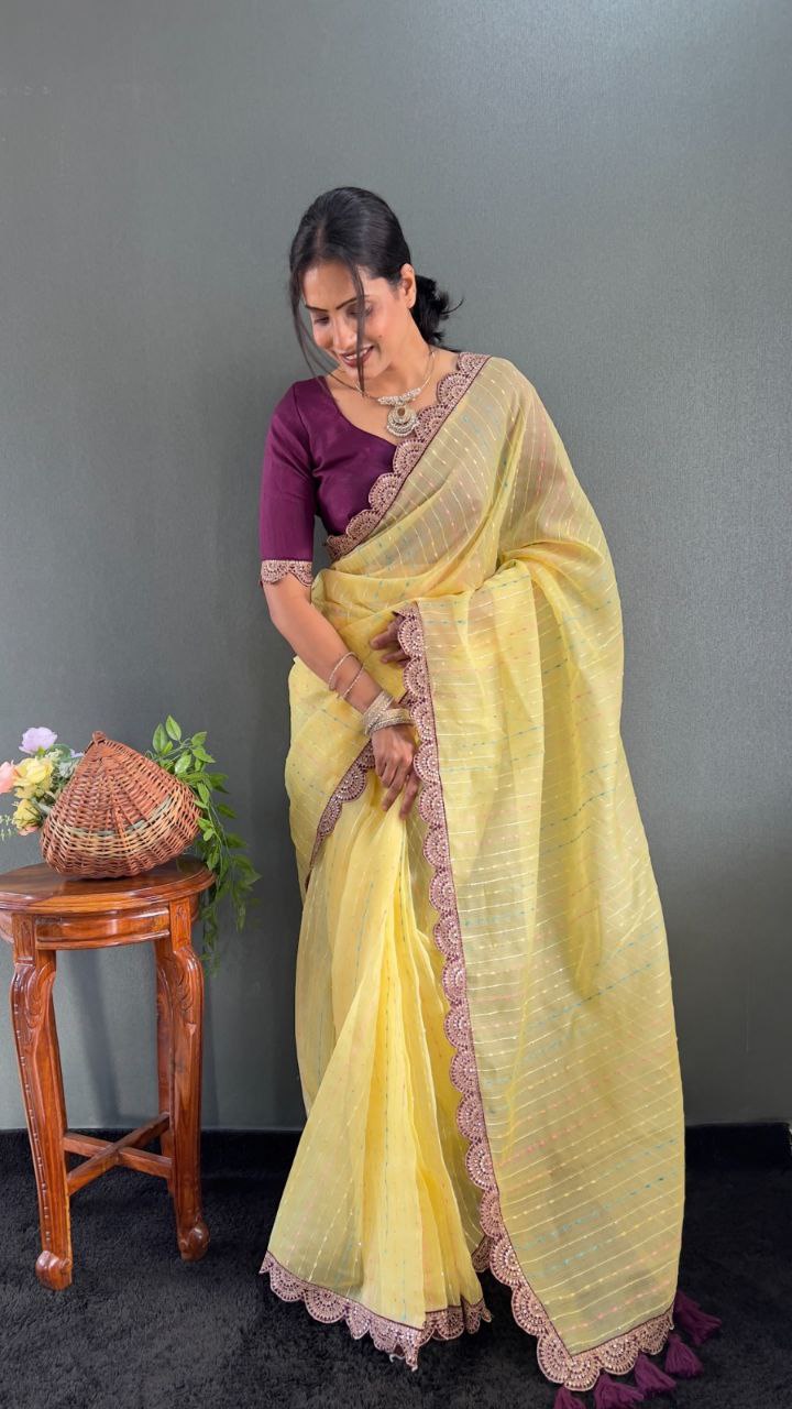 Sanya – Tissue Net Embroidered Saree