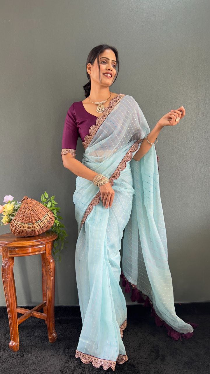Sanya – Tissue Net Embroidered Saree
