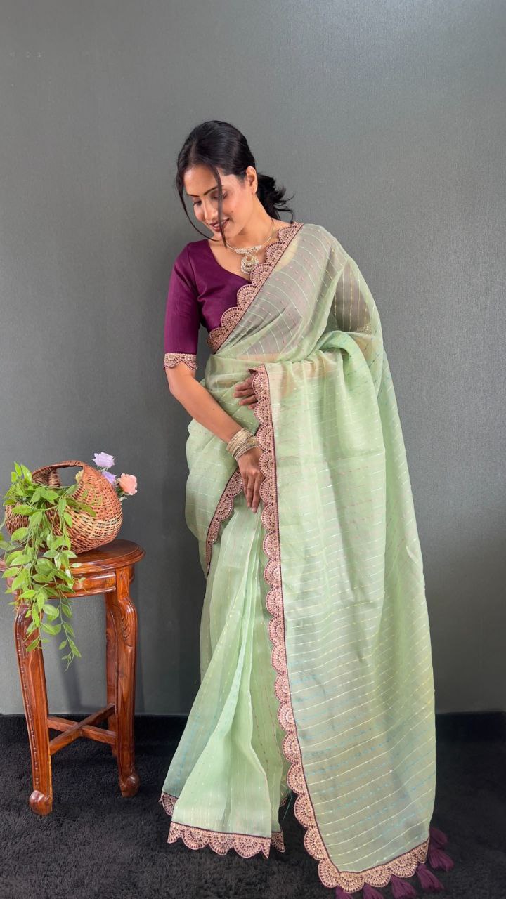 Sanya – Tissue Net Embroidered Saree