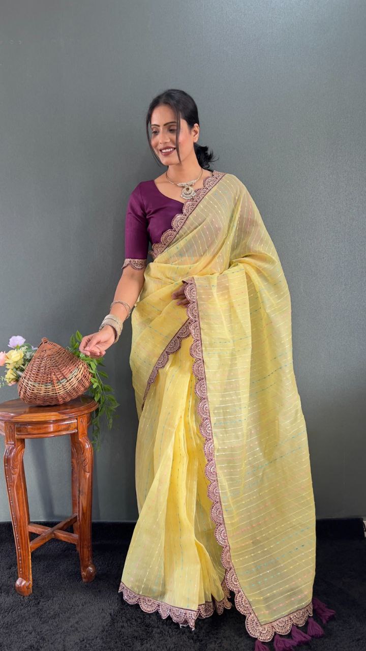 Sanya – Tissue Net Embroidered Saree