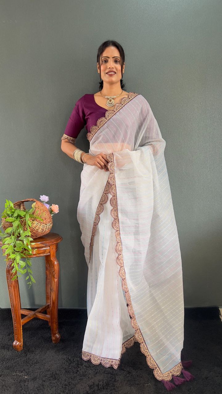 Sanya – Tissue Net Embroidered Saree