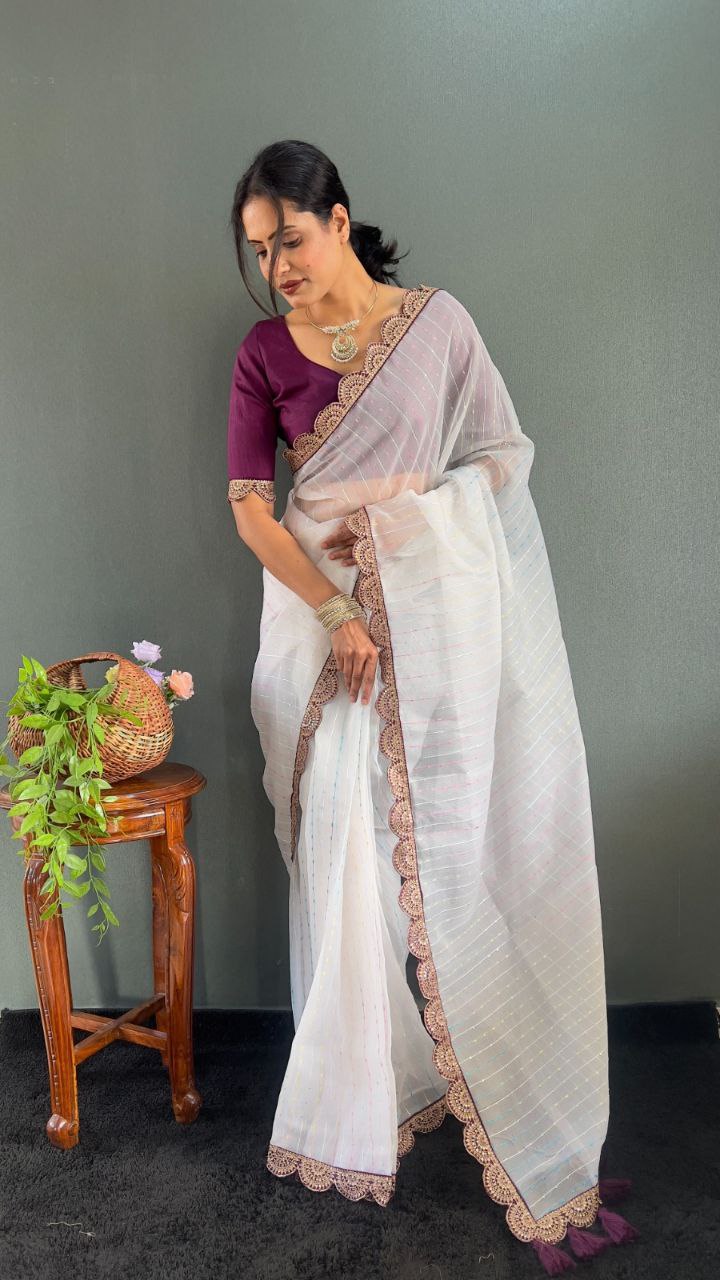 Sanya – Tissue Net Embroidered Saree