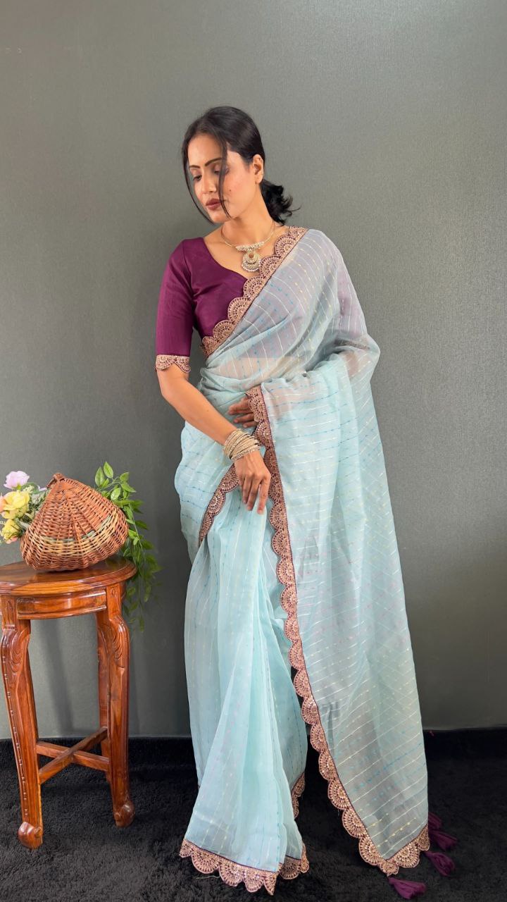 Sanya – Tissue Net Embroidered Saree