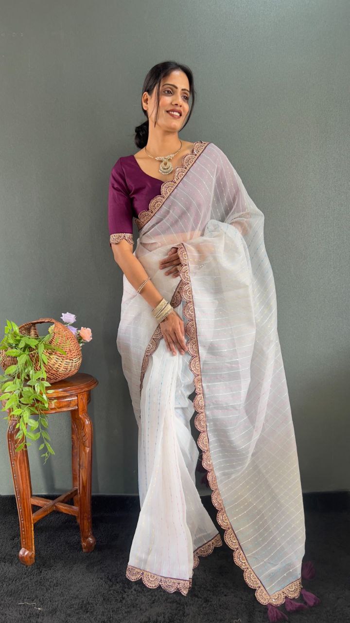 Sanya – Tissue Net Embroidered Saree