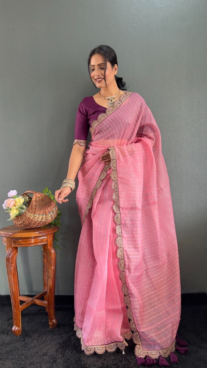 Sanya – Tissue Net Embroidered Saree