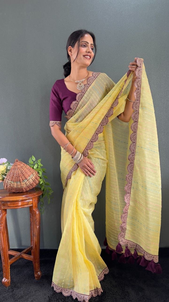 Sanya – Tissue Net Embroidered Saree