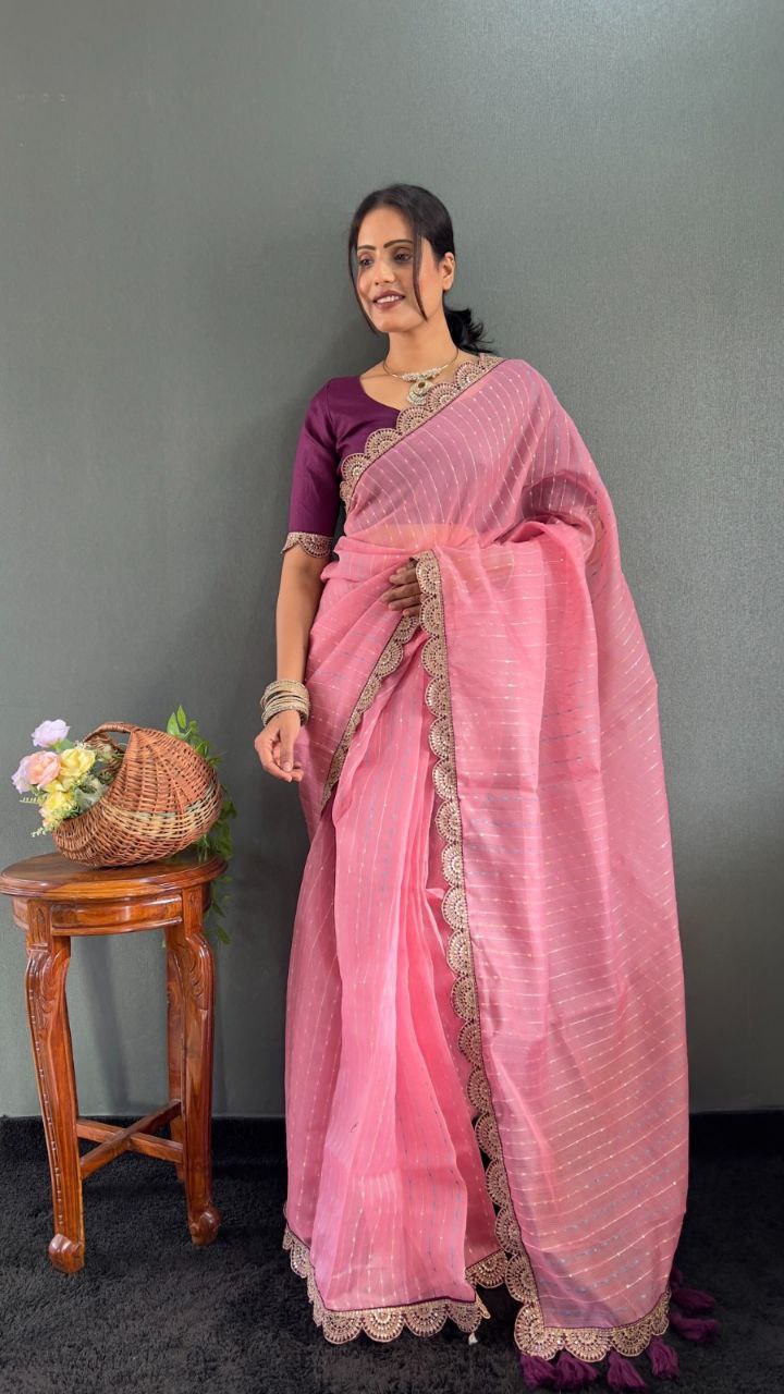 Sanya – Tissue Net Embroidered Saree