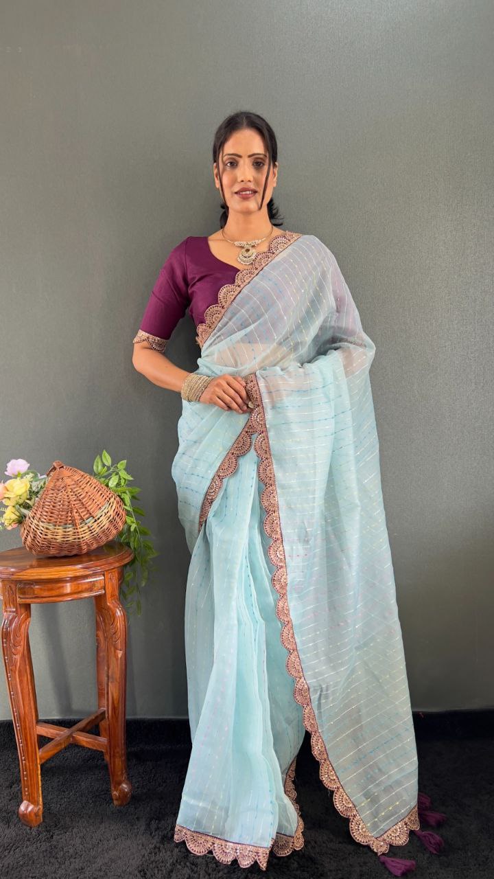 Sanya – Tissue Net Embroidered Saree