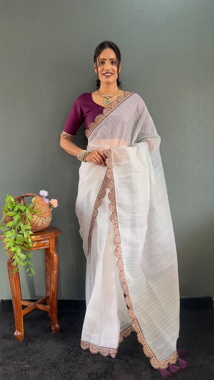 Sanya – Tissue Net Embroidered Saree