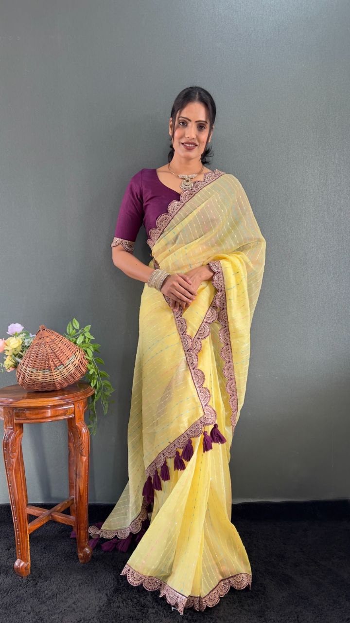 Sanya – Tissue Net Embroidered Saree