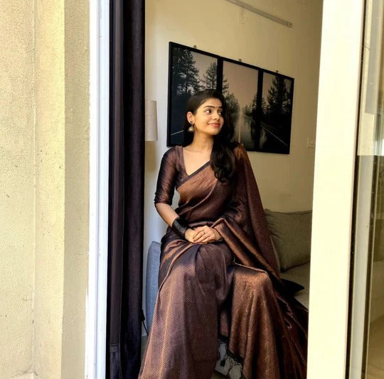 Abha Black Soft Banarasi Silk Saree With Enchanting Blouse Piece - ABHA