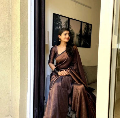 Abha Black Soft Banarasi Silk Saree With Enchanting Blouse Piece - ABHA