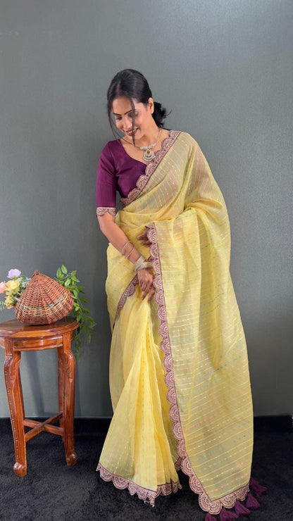 Sanya – Tissue Net Embroidered Saree