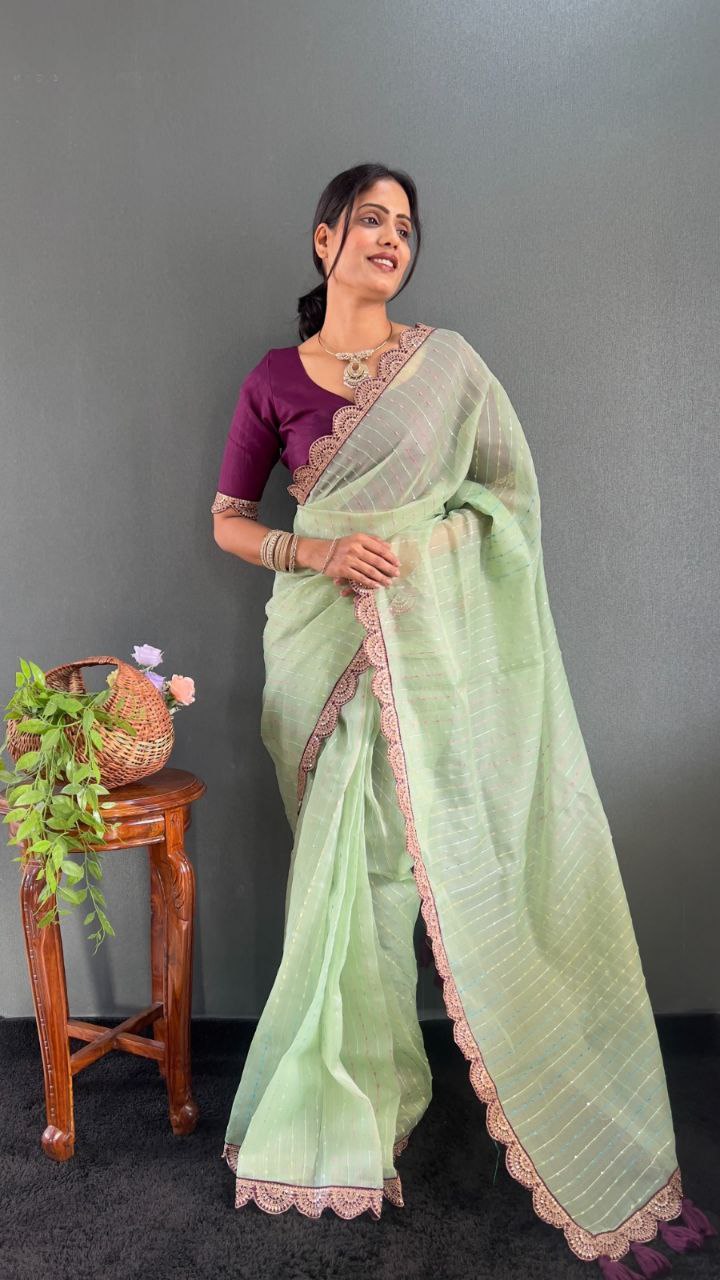 Sanya – Tissue Net Embroidered Saree