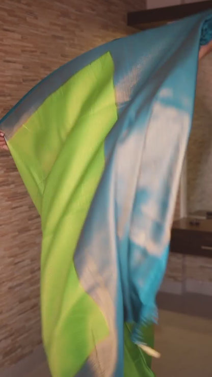Valmika Parrot  Soft Kanjivaram Silk Drape with Unique Blouse Piece