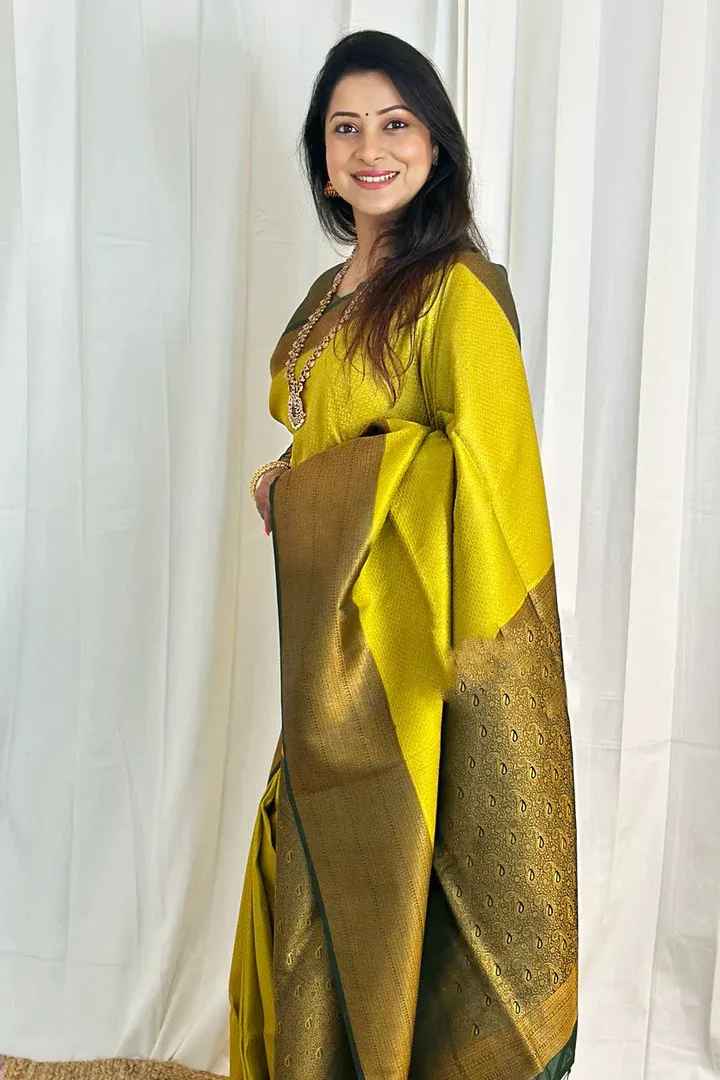 Valmika LemonGreen Soft Banarasi Silk Drape with Unique Blouse Piece